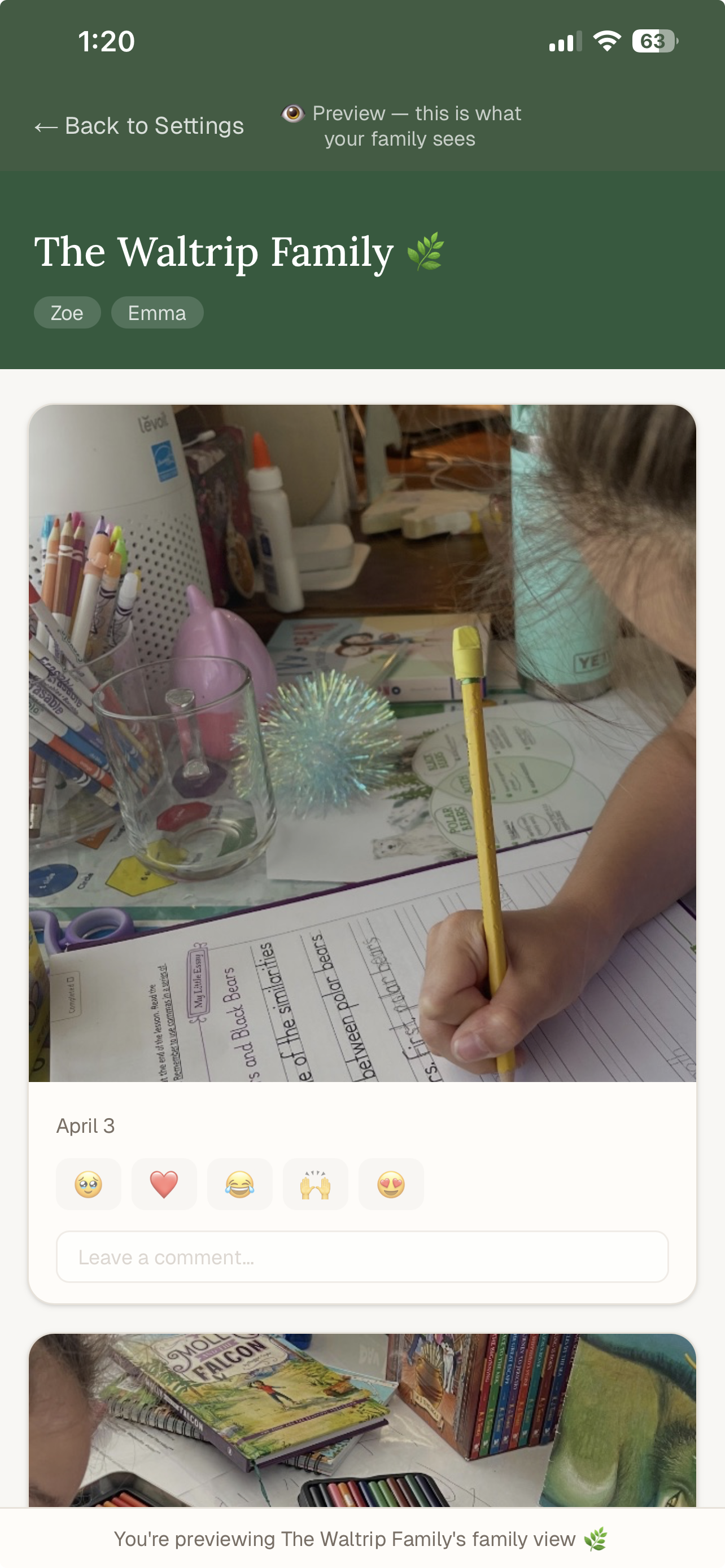 Family view of Rooted memories